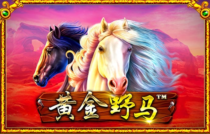 bet9登录